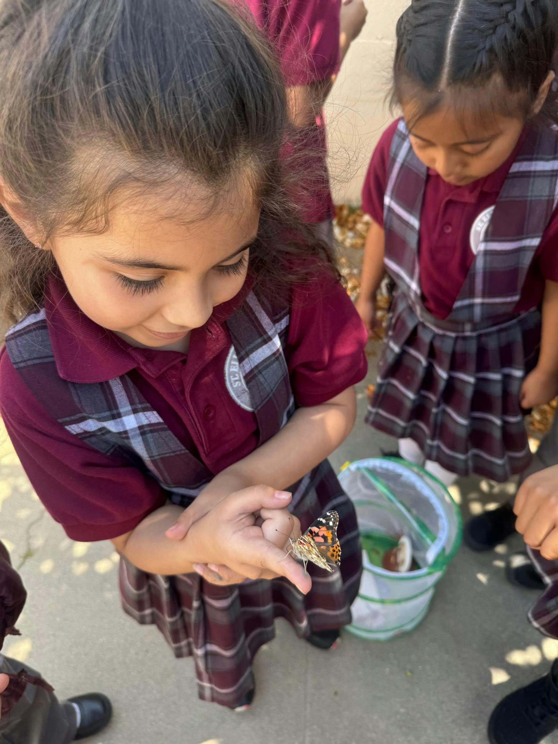 Child looking at a butterfly on their finger