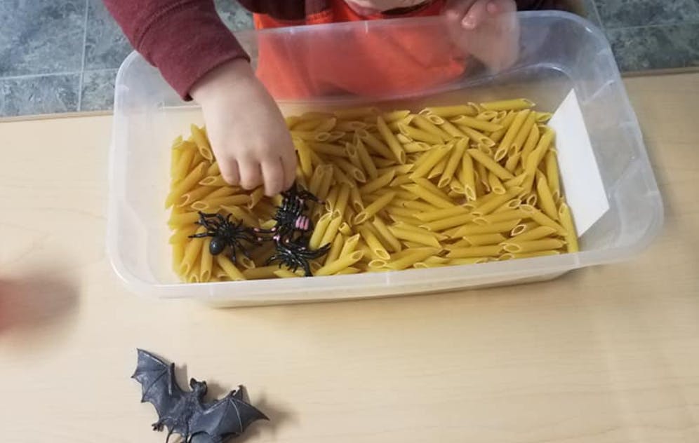 Little Bears Daycare in Cedar Springs, MI