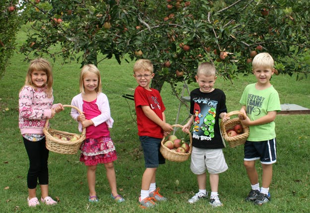 The Little Country Schoolhouse Preschool Preschool in Clarksville, TN
