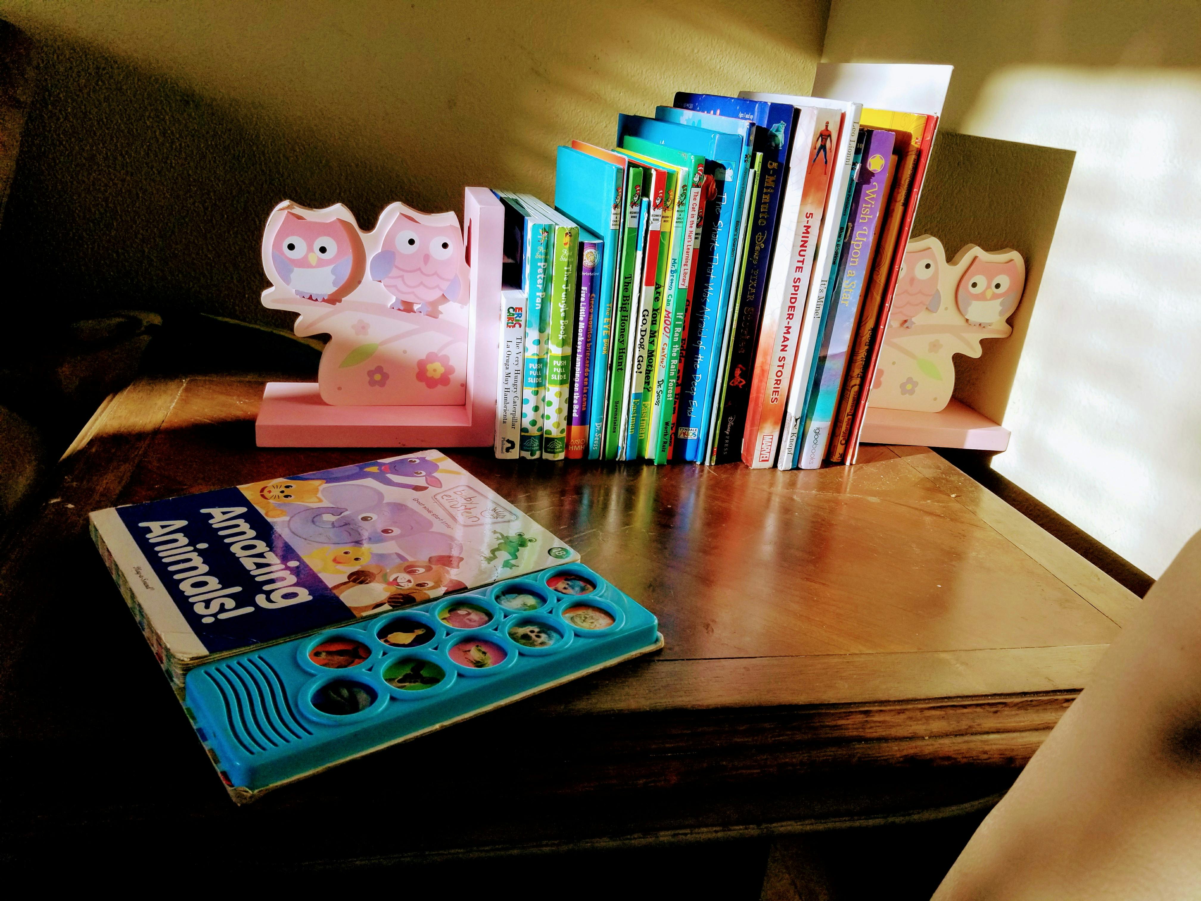 Children's book with "Amazing Animals!" on cover and books in owl bookends