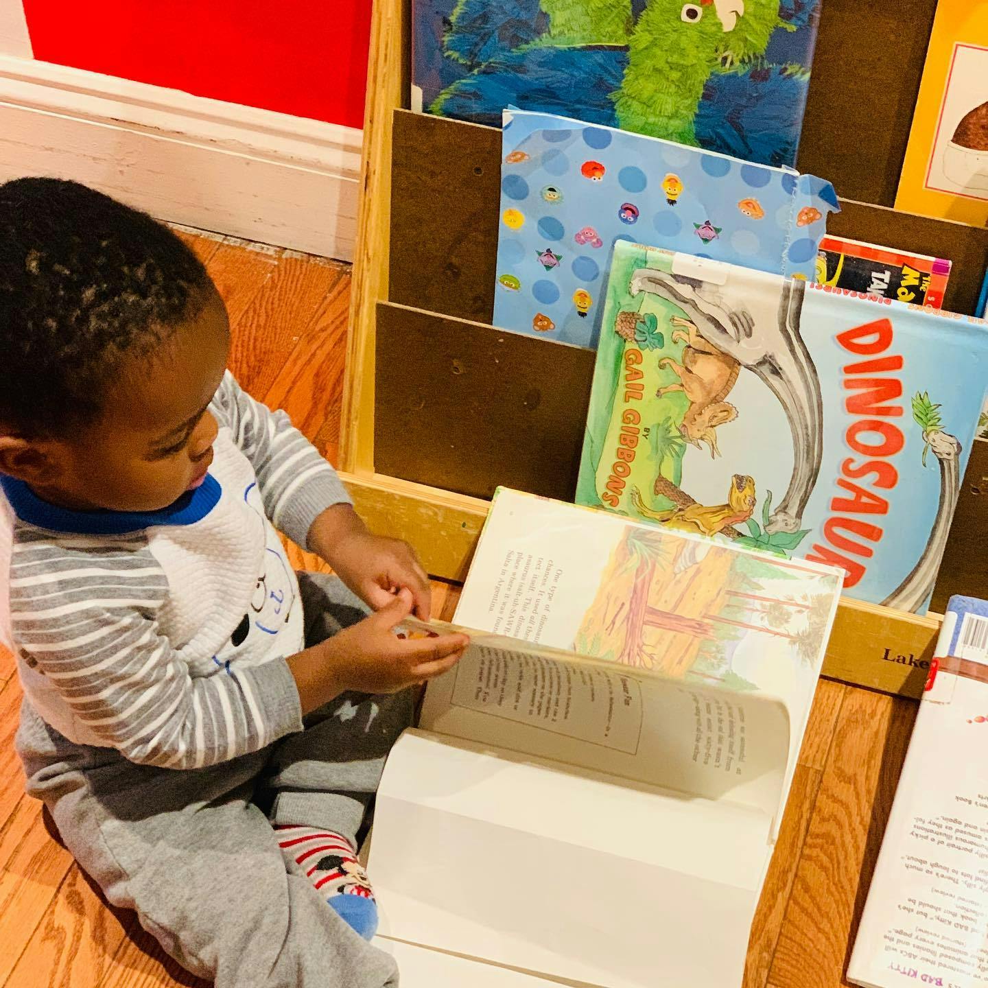 Child sitting on the floor reading a book