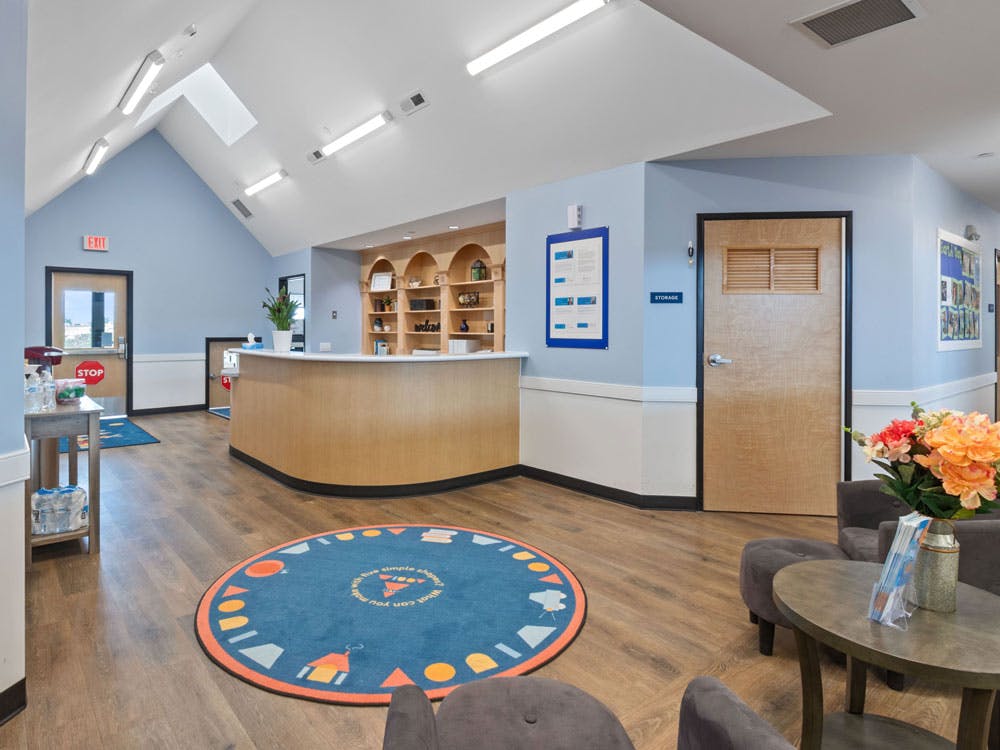 Reception area with a wooden desk, light blue walls, and a circular rug