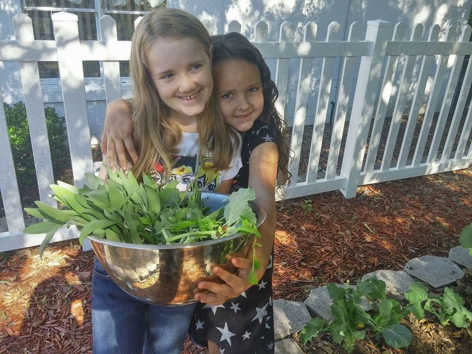 Two children holding a bowl of freshly picked greens