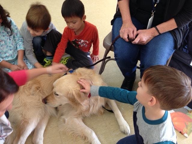 Children petting a golden retriever