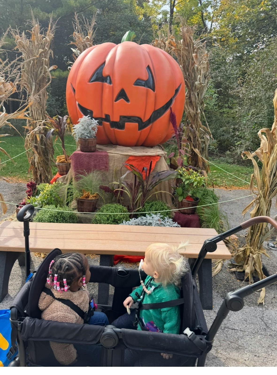 Two children sitting in a wagon facing a large decorative jack-o-lantern