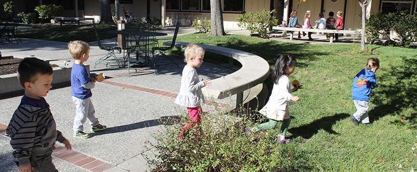 Children playing outdoors on a sunny day