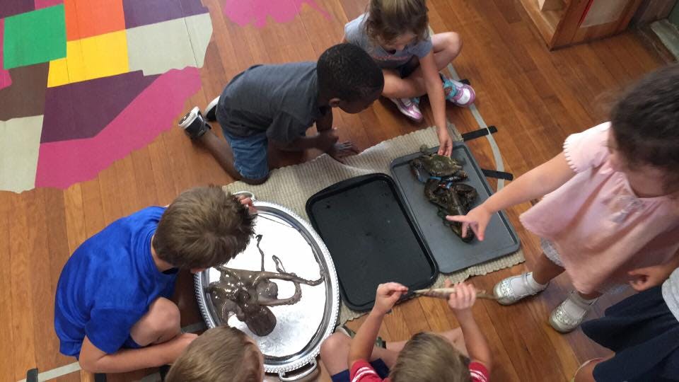 Children observing objects on the floor