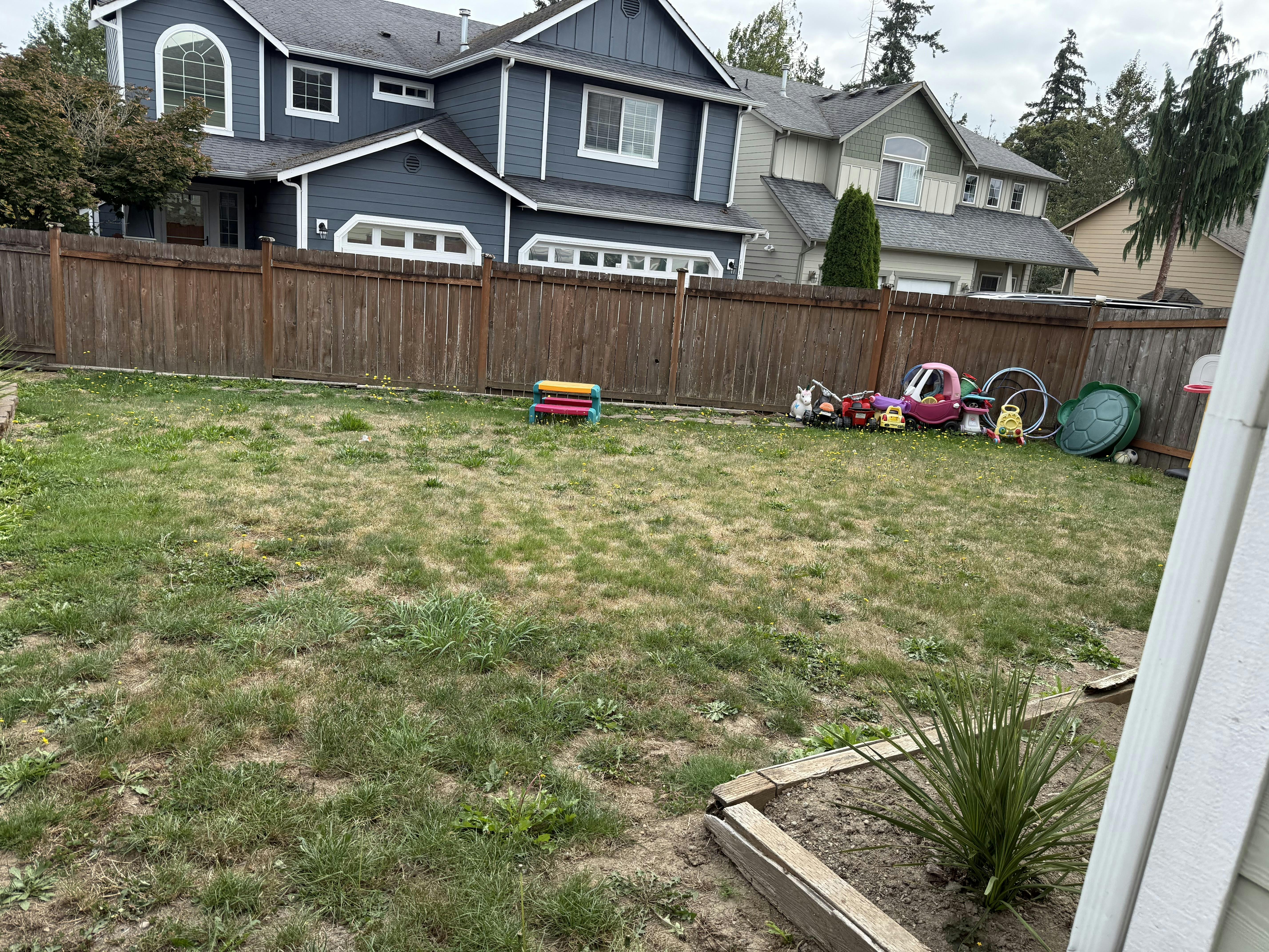 Backyard with a wooden fence and toys on the grass
