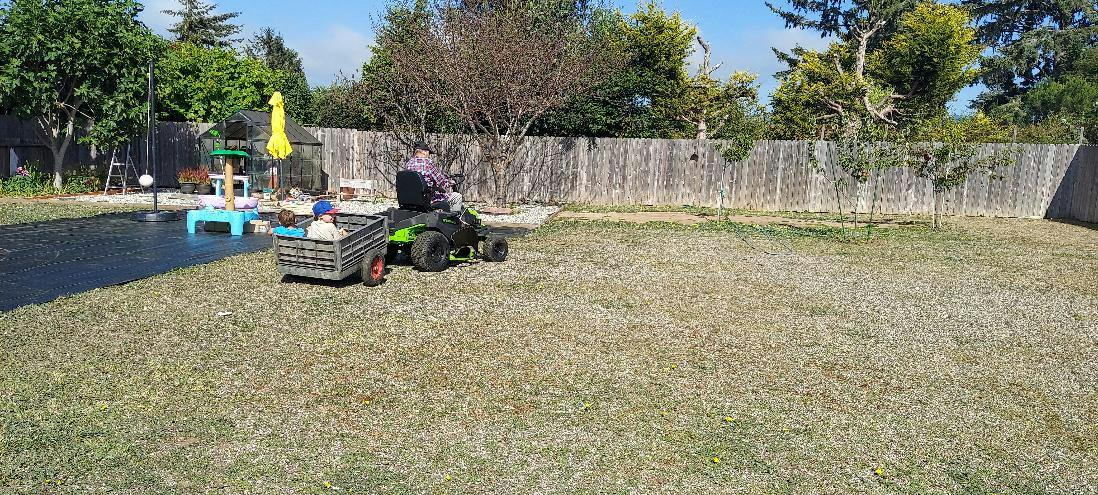 Person driving a lawn mower pulling a trailer with two children in a backyard