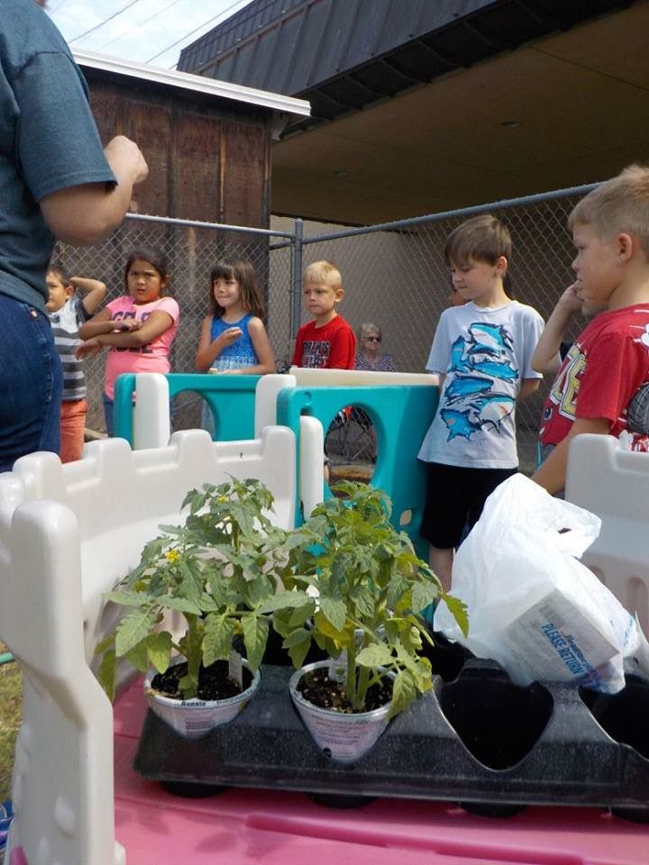 Children looking at potted plants