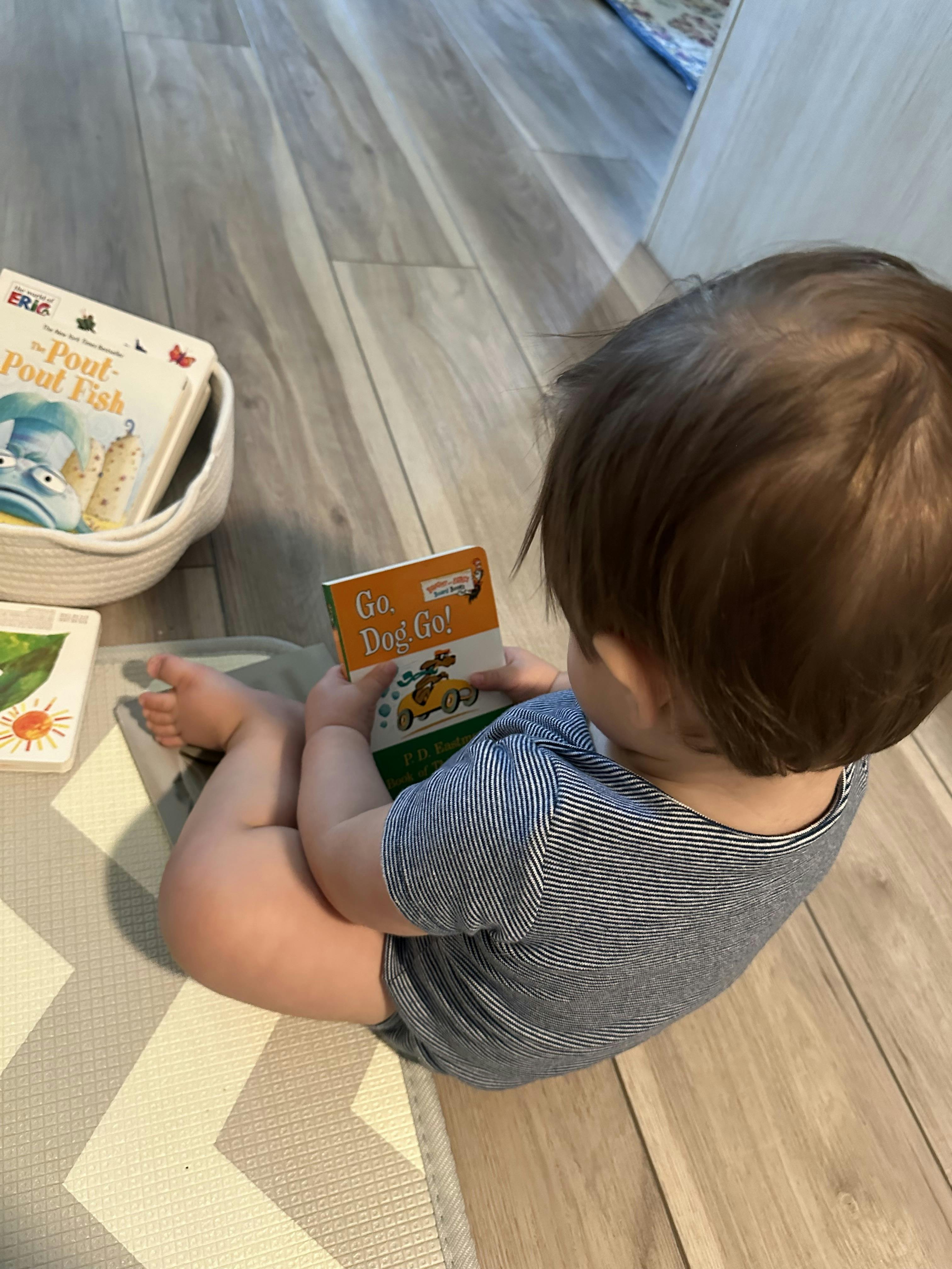 Child sitting on a mat holding an open book titled "Go. Dog. Go!"