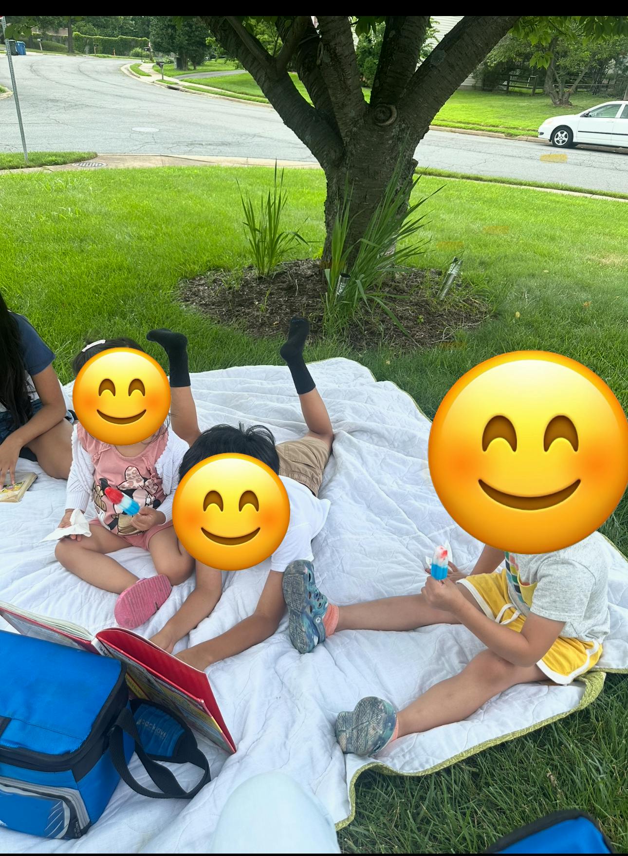 People sitting on a white blanket on grass