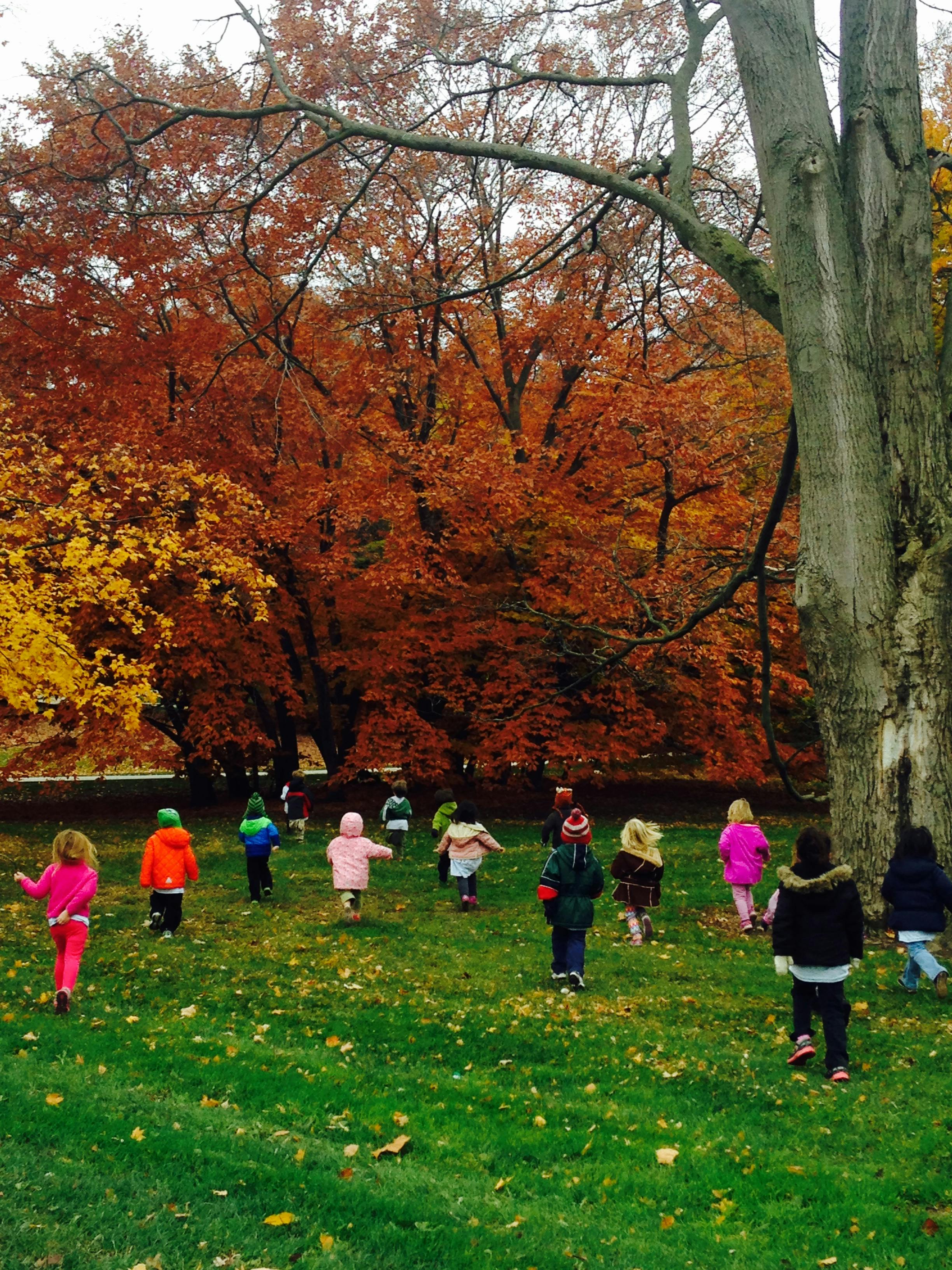 Children walking in a field with autumn trees
