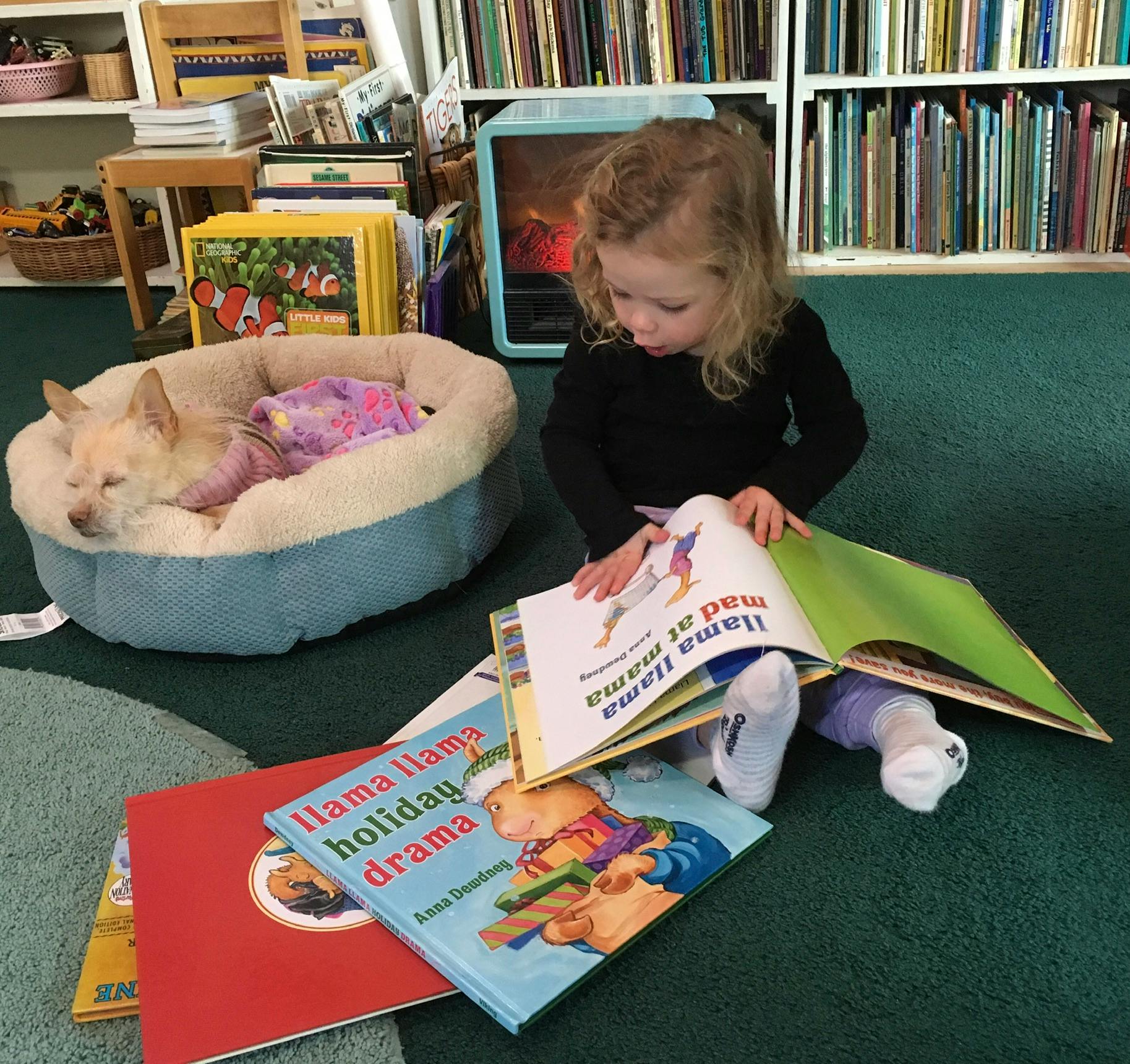 Child reading a book on the floor next to a sleeping dog in a dog bed