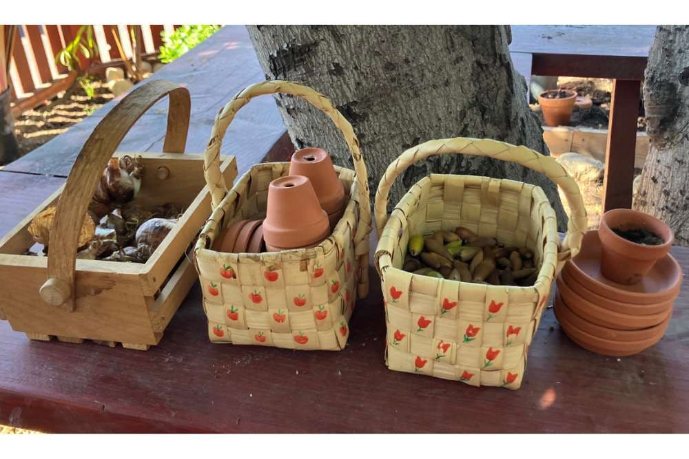 Wooden baskets containing bulbs, terracotta pots, and acorns on a garden table