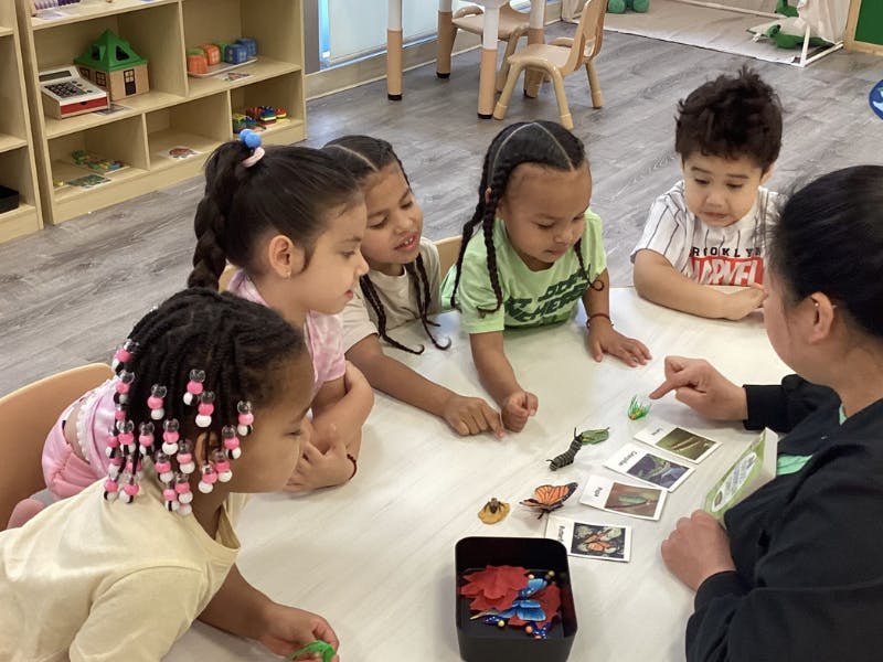 adult and four children learning about insects at a table