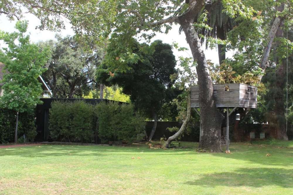 Wooden treehouse in a large backyard