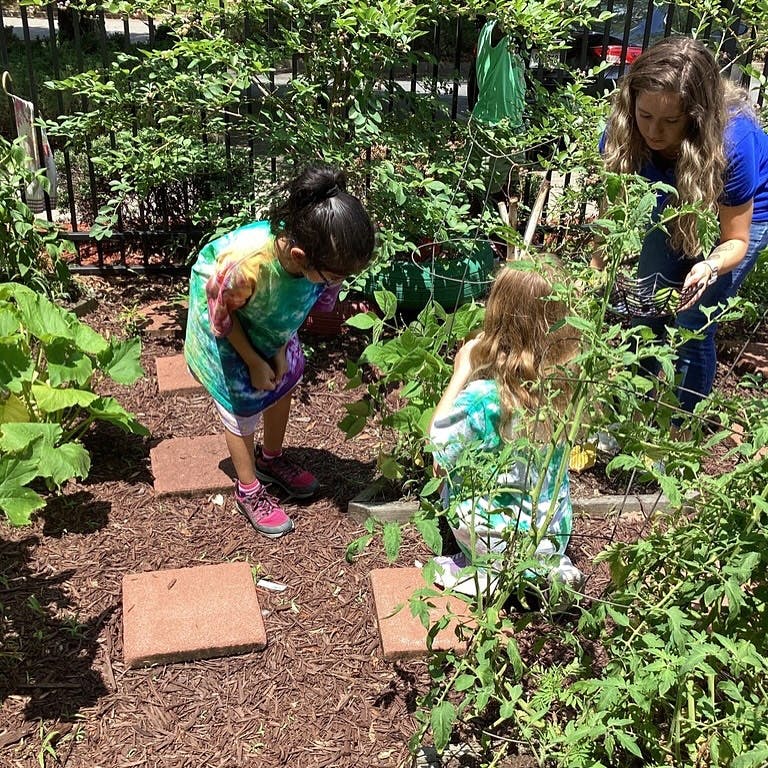 Adult and two children tending to plants in a garden