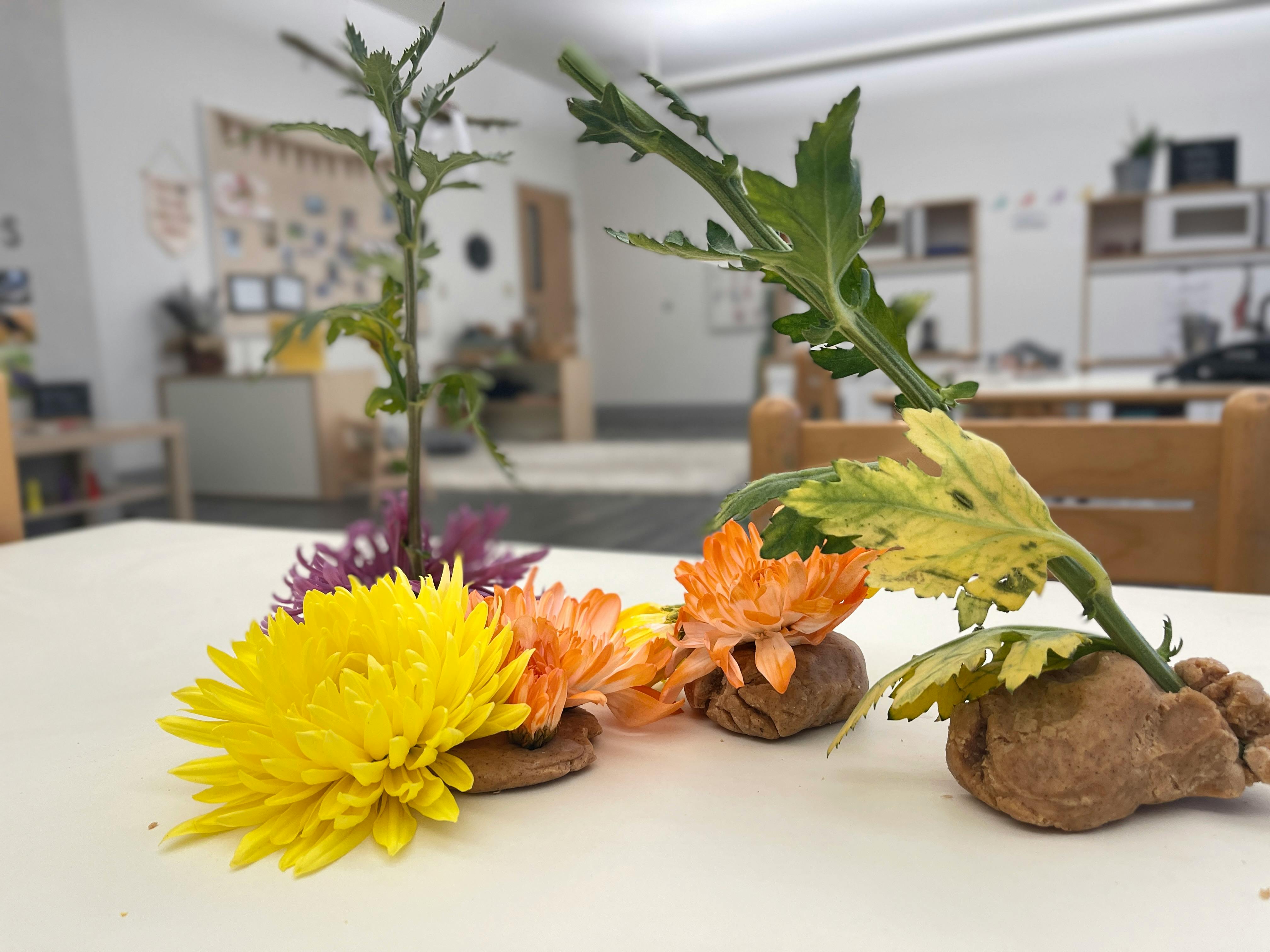 Flowers and leaves arranged on a table