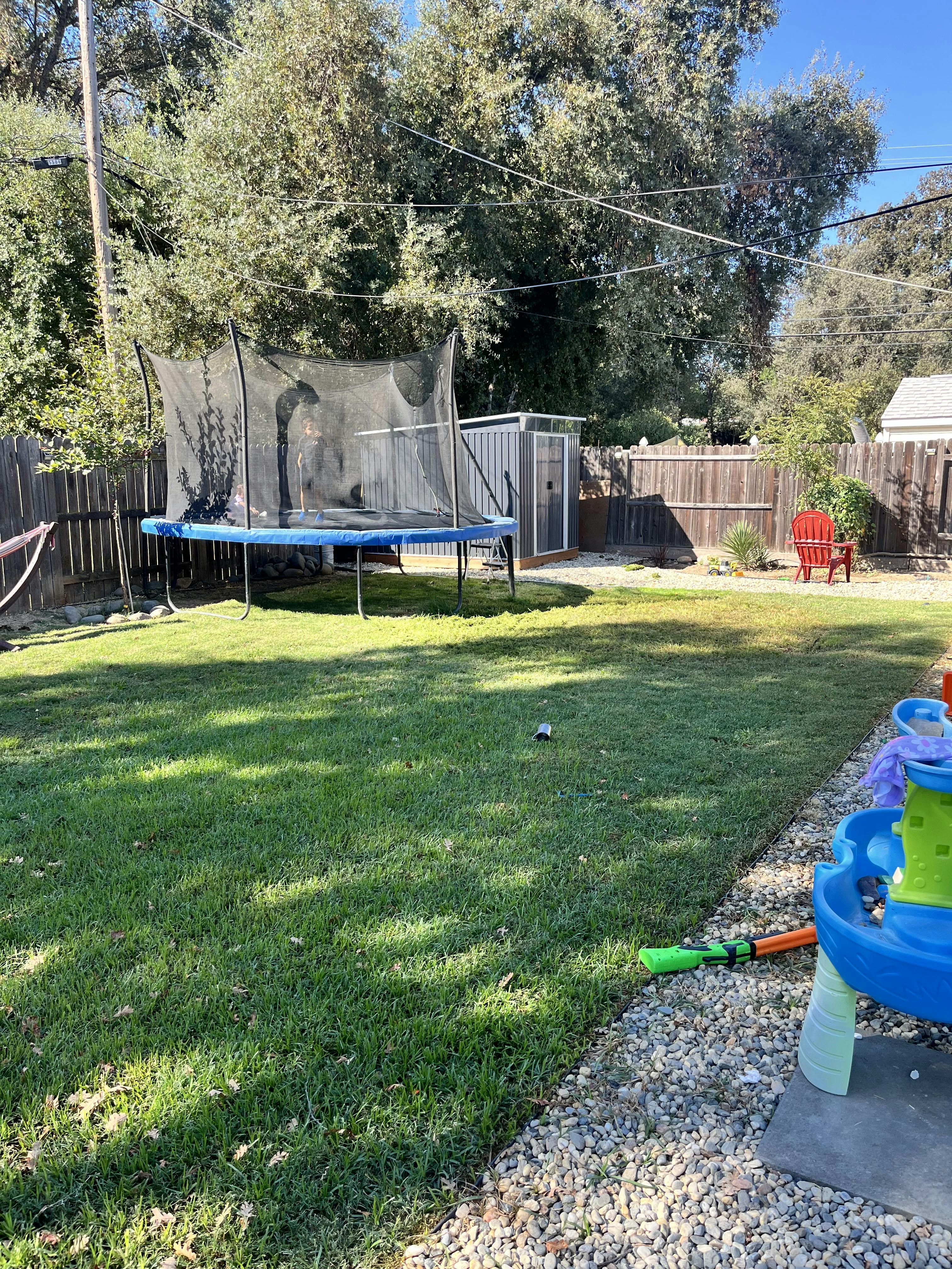 Trampoline in a grassy backyard