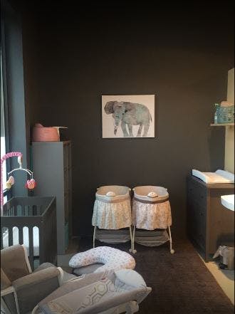 Nursery room with two bassinets, a crib, and an elephant picture on the wall