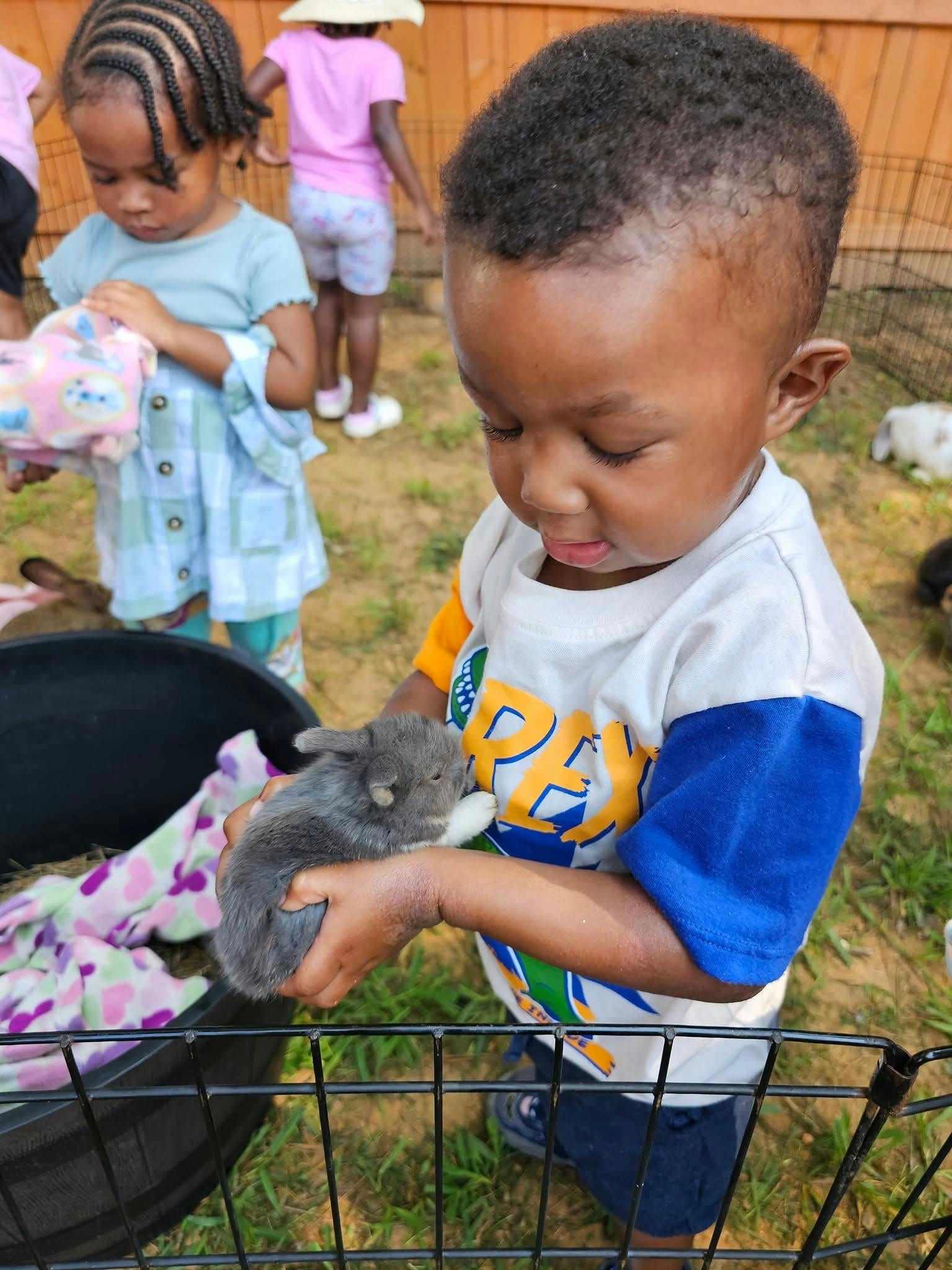 Child holding a gray bunny in their hands
