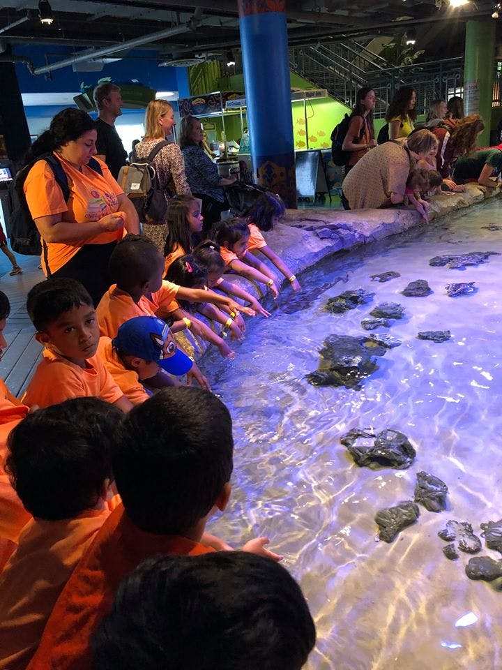 Children and adults reaching into a shallow pool of water