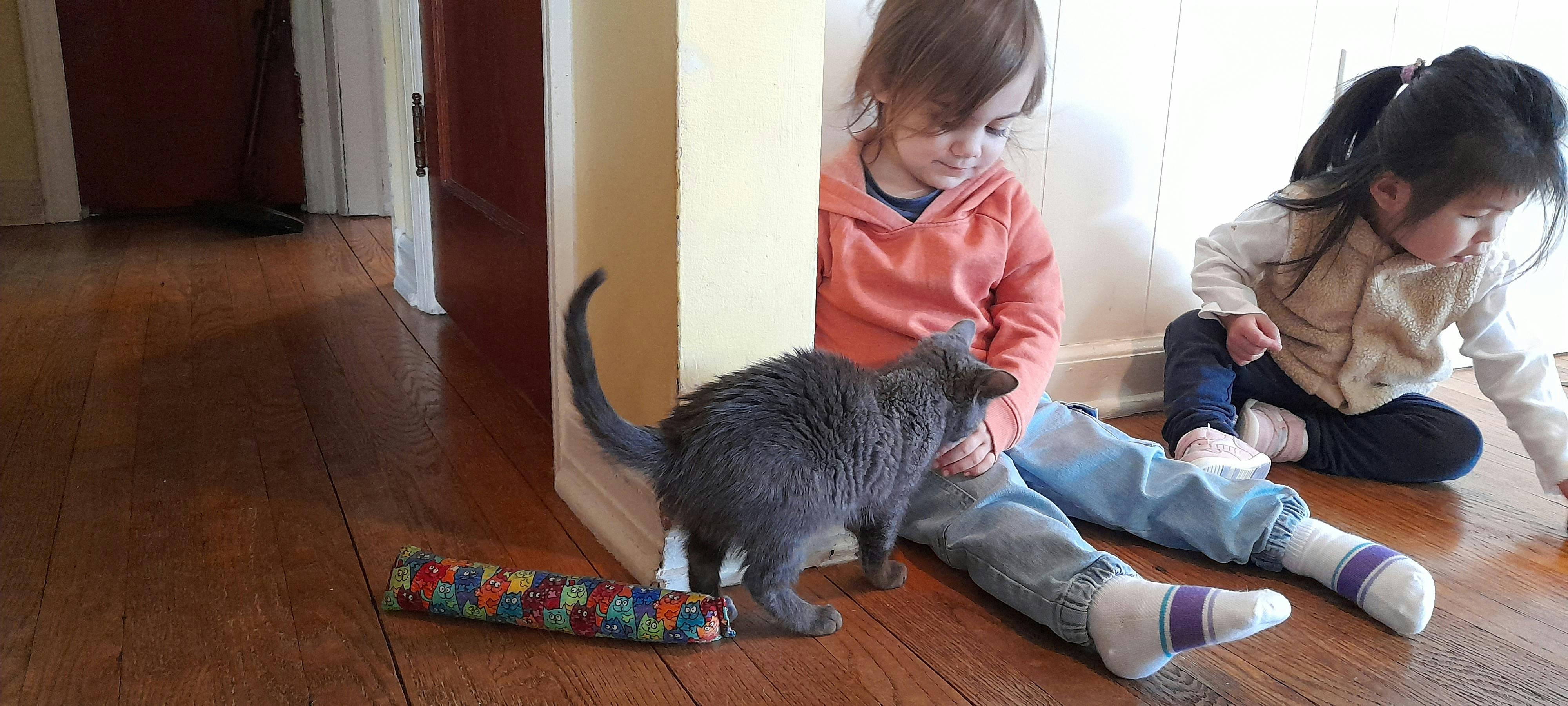 Two children sitting on the floor with a cat