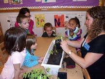 Adult and children planting seeds in a classroom