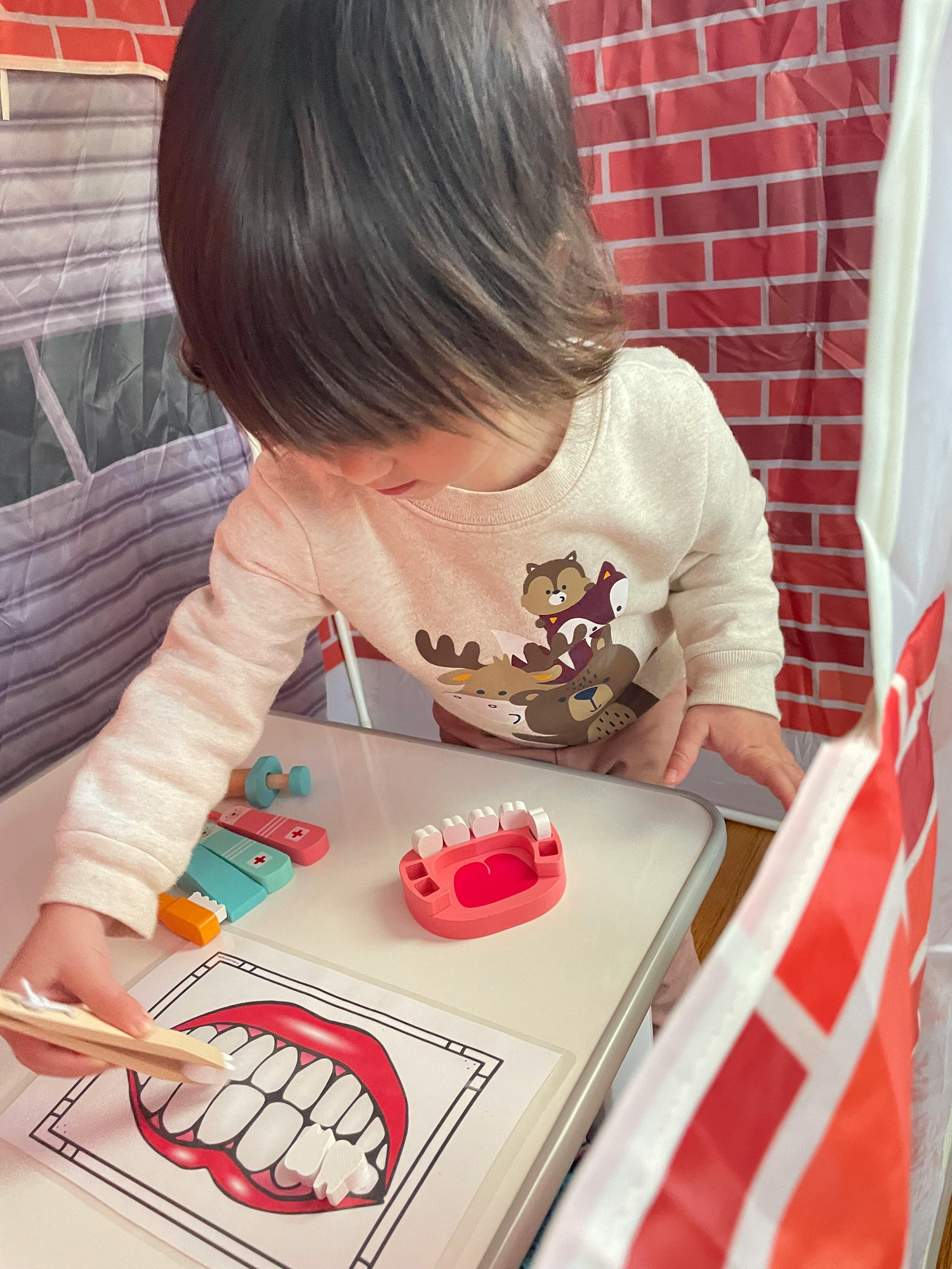 Child brushing teeth on a diagram with a drawing of teeth and a model of teeth