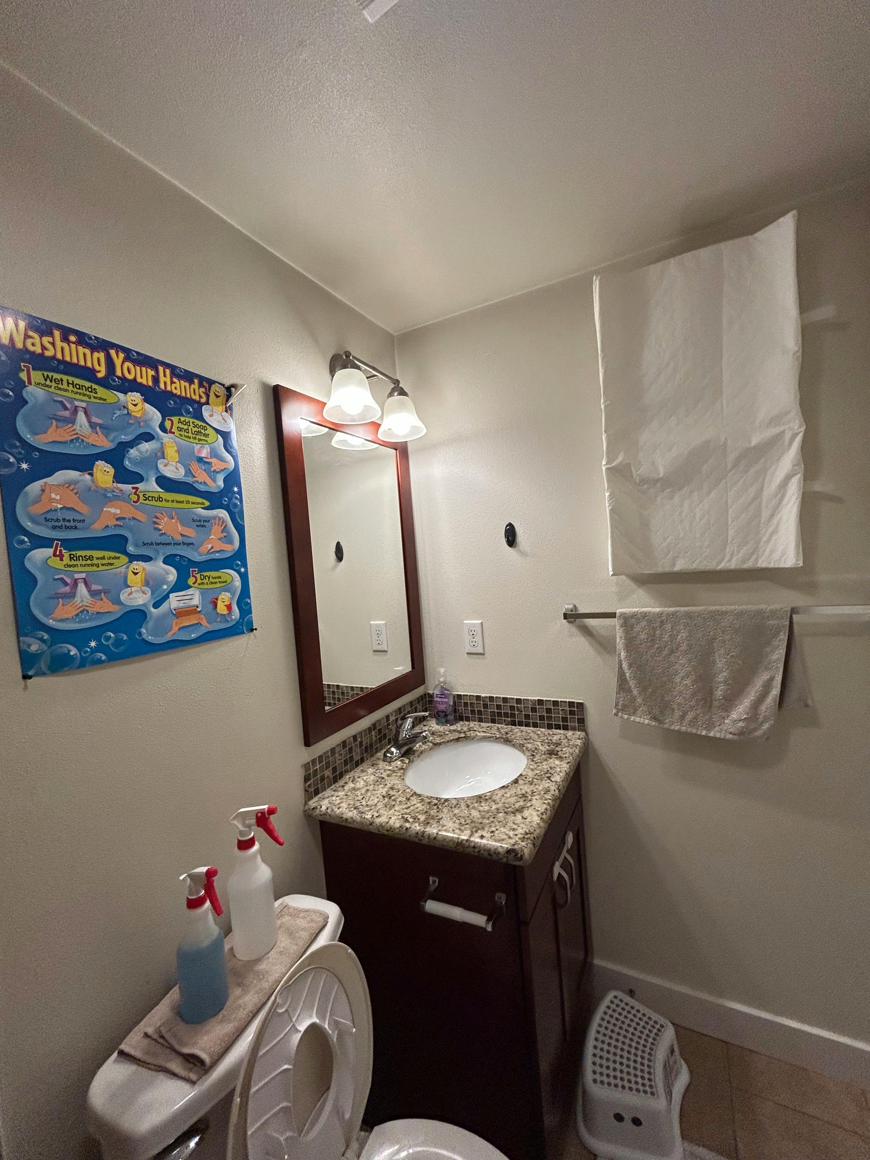 Bathroom with a sink, mirror, toilet, and a "Washing Your Hands" poster