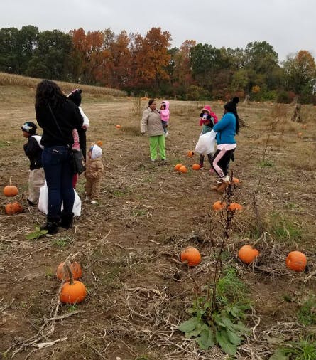 People and children in a pumpkin patch