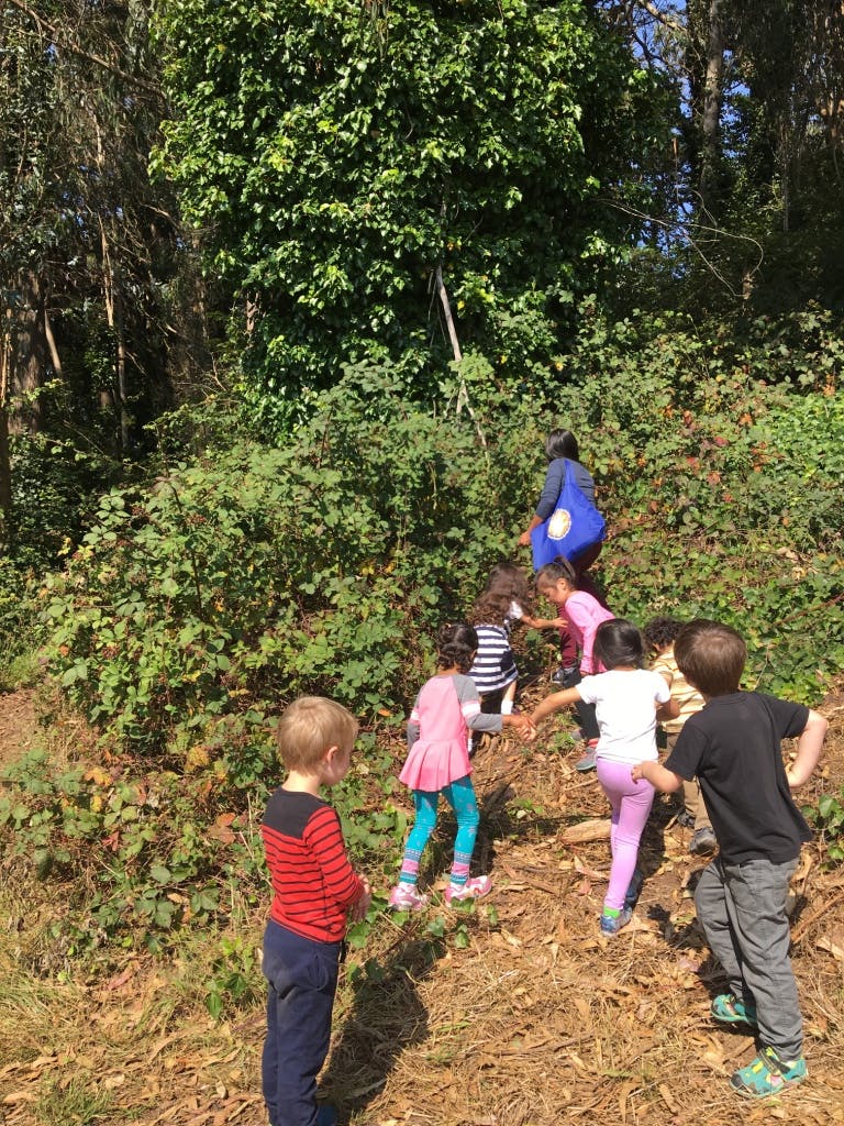 Adult and children walking up a dirt path surrounded by green bushes