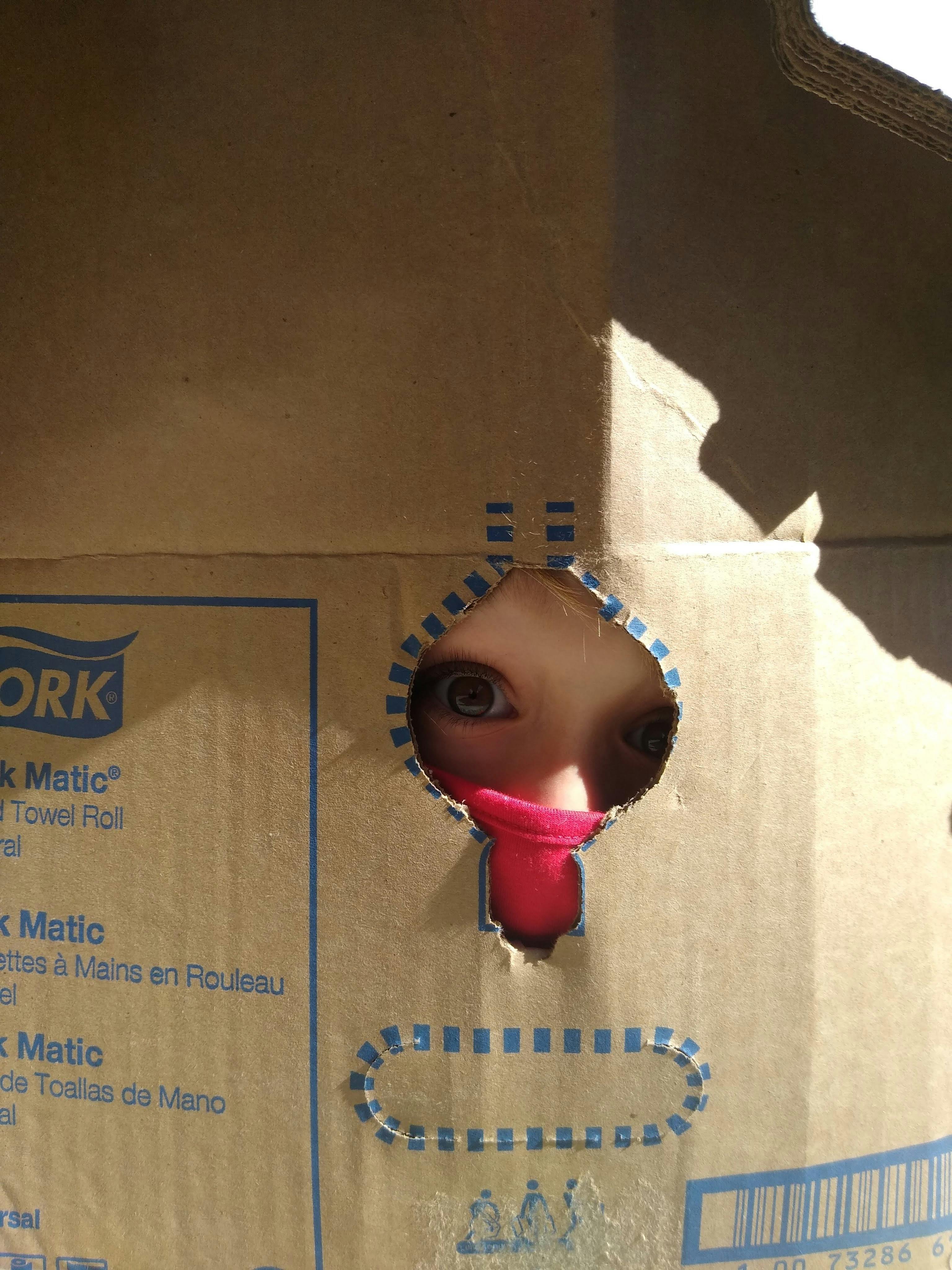 Child's eyes peeking through a hole in a cardboard box