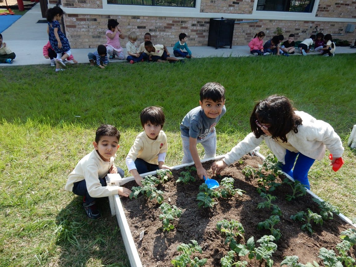 Children planting in a raised garden bed