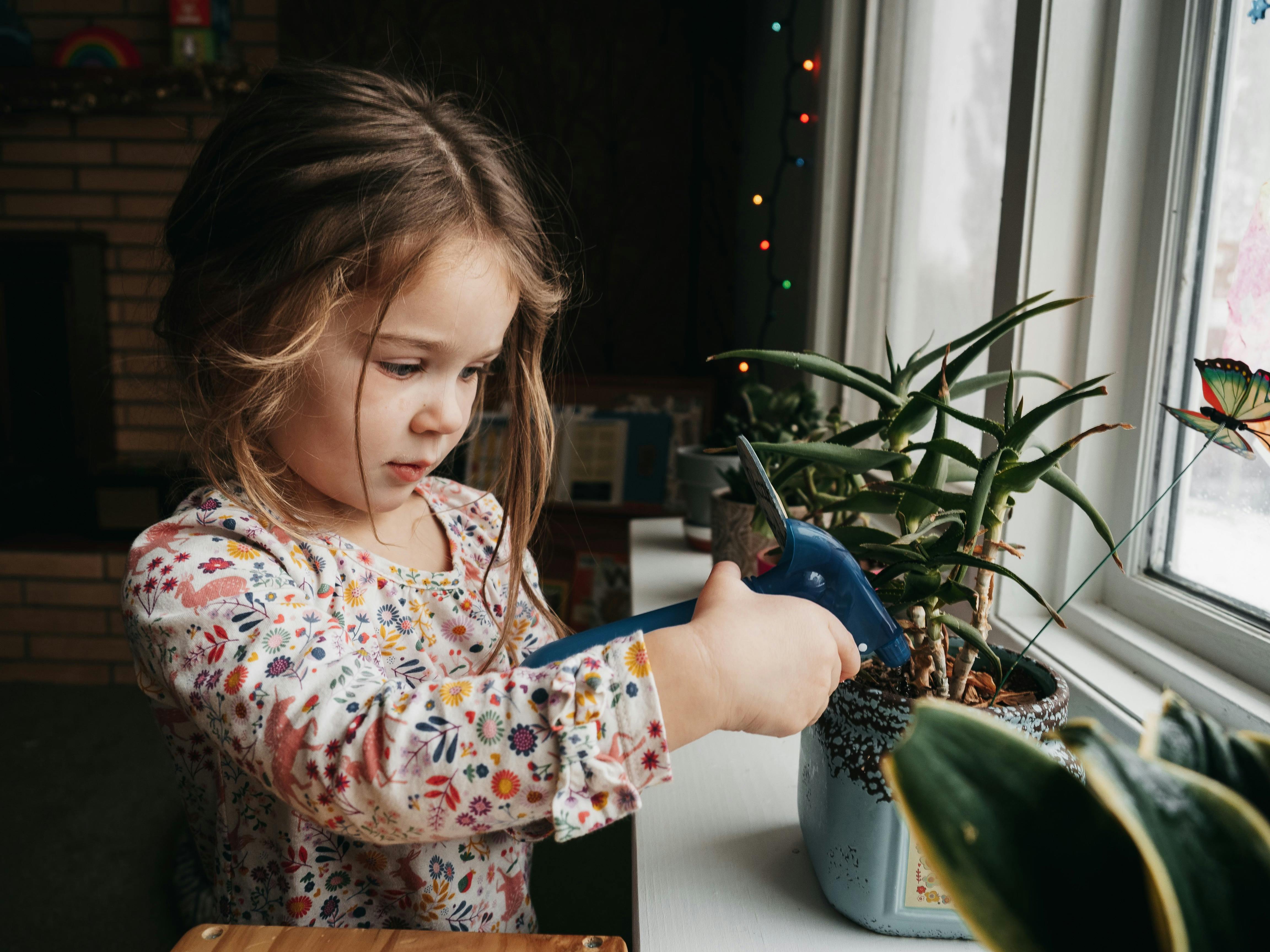 Child watering a potted plant by a window