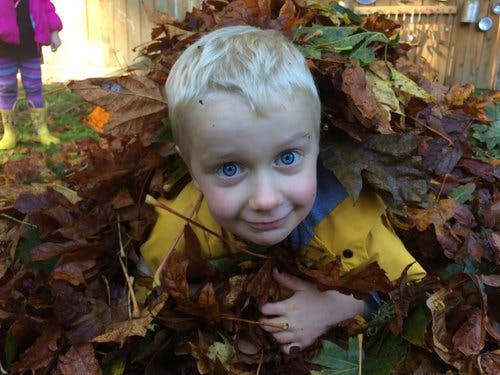 Child peeking out from a pile of autumn leaves