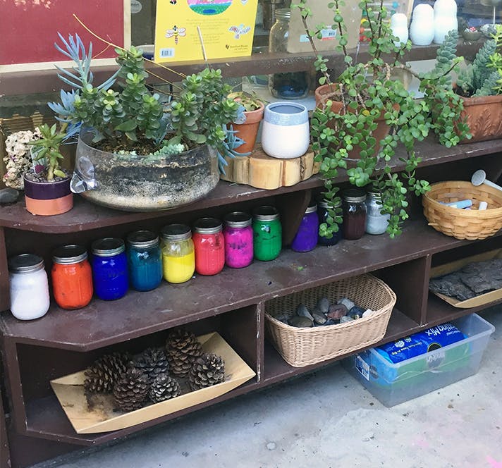 Shelves with potted plants, colorful jars, pinecones, and baskets