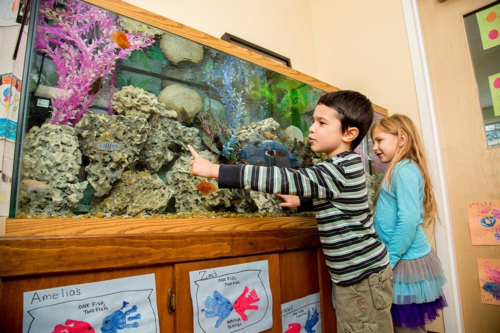 Child pointing at fish in a large aquarium next to another child