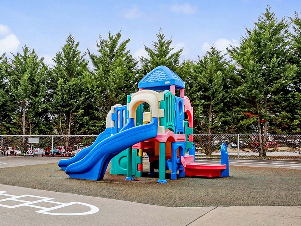 Colorful playground with slides on a soft surface next to pine trees
