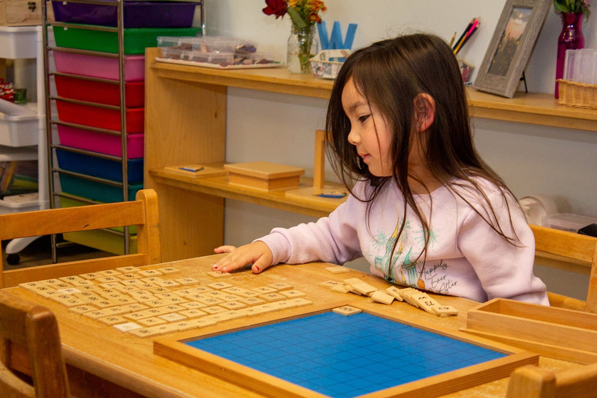 Palm Harbor Montessori Academy in Palm Harbor, FL