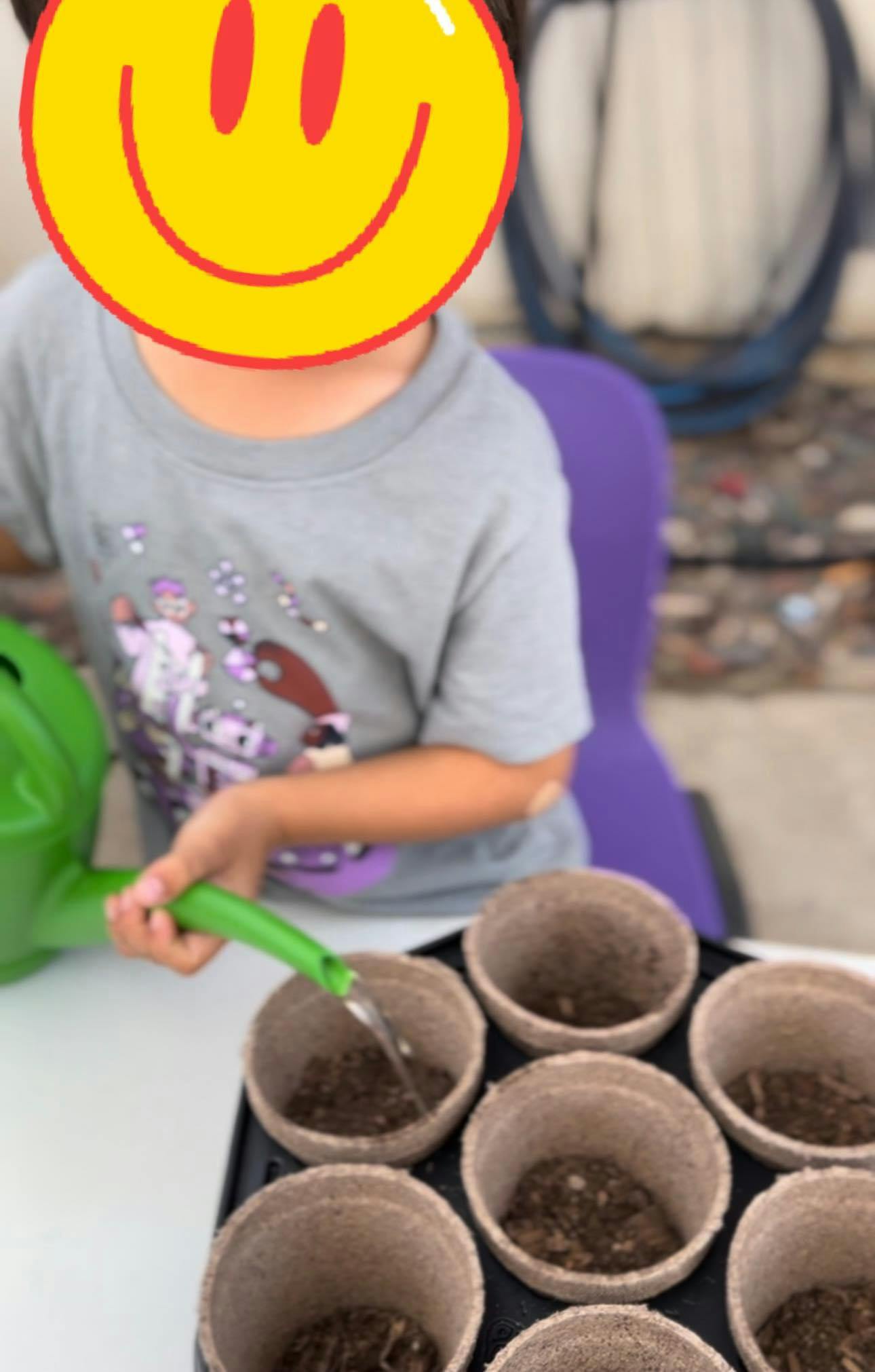 Child watering small plant pots filled with soil