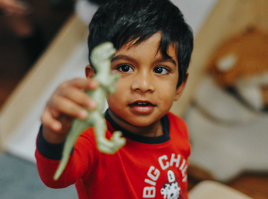 Child holding up a dinosaur toy