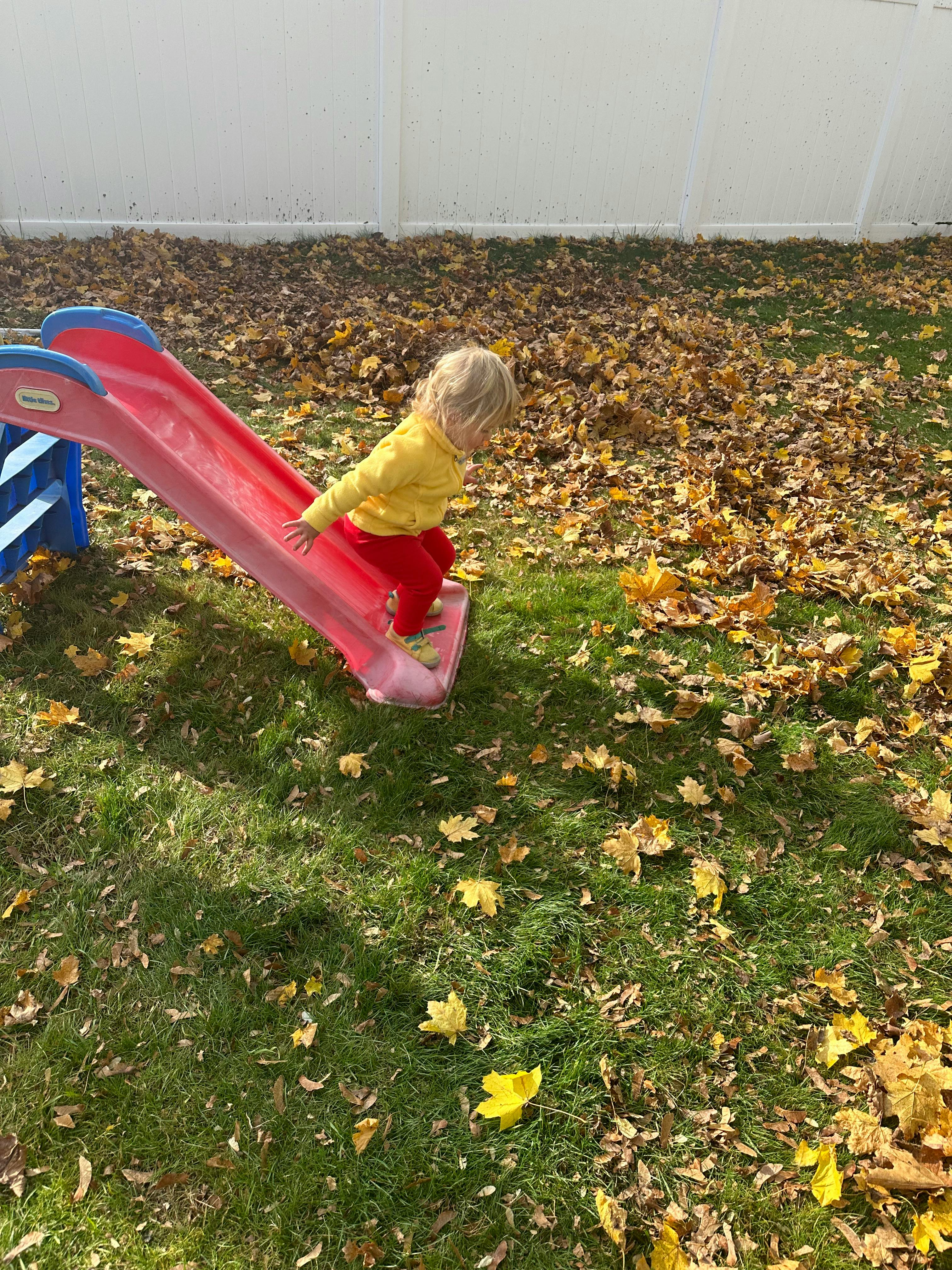 Child on a red slide in a grassy area with fallen leaves