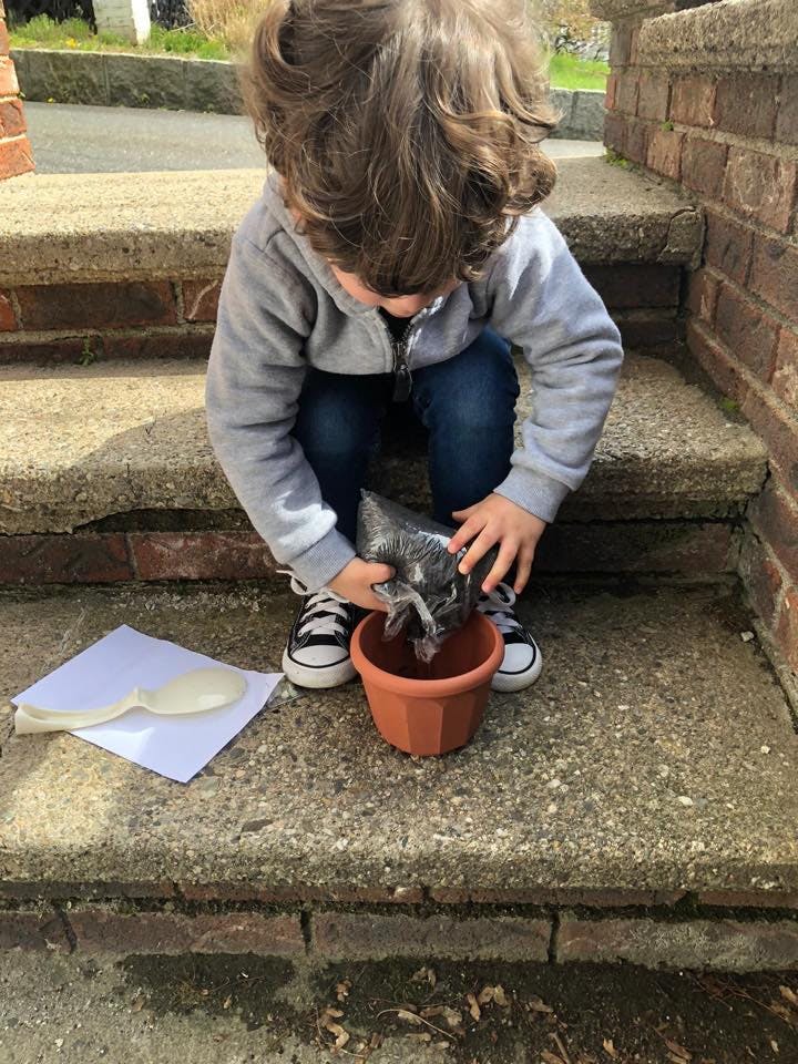 Child planting a seedling into a small terracotta pot