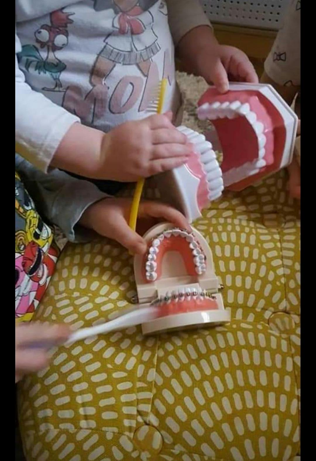 Child using a toothbrush on a dental model with braces