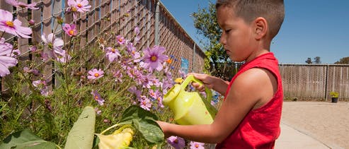Child watering flowers with a yellow watering can