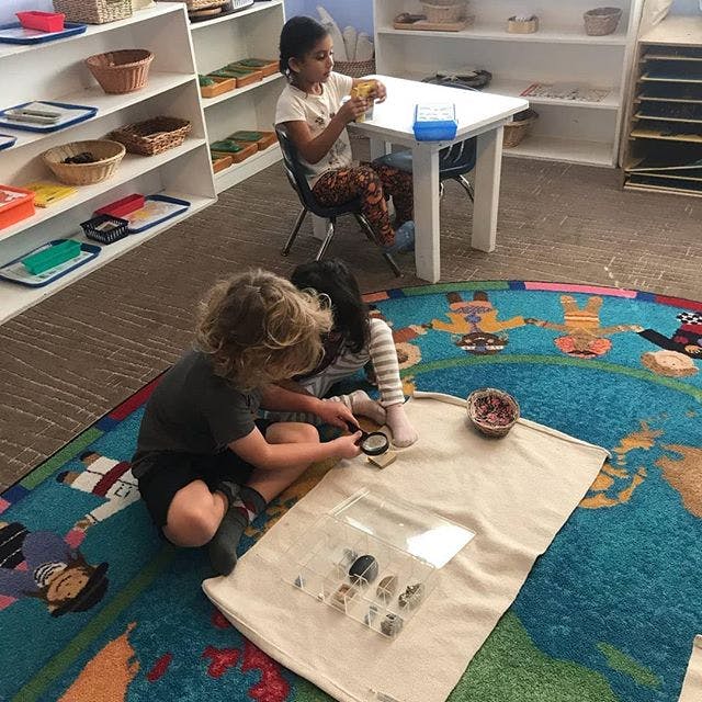 Desert Sky Montessori Preschool in Scottsdale, AZ Winnie