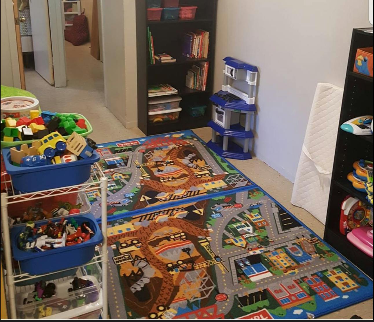 Playroom with toy storage, bookshelves, and a road map rug