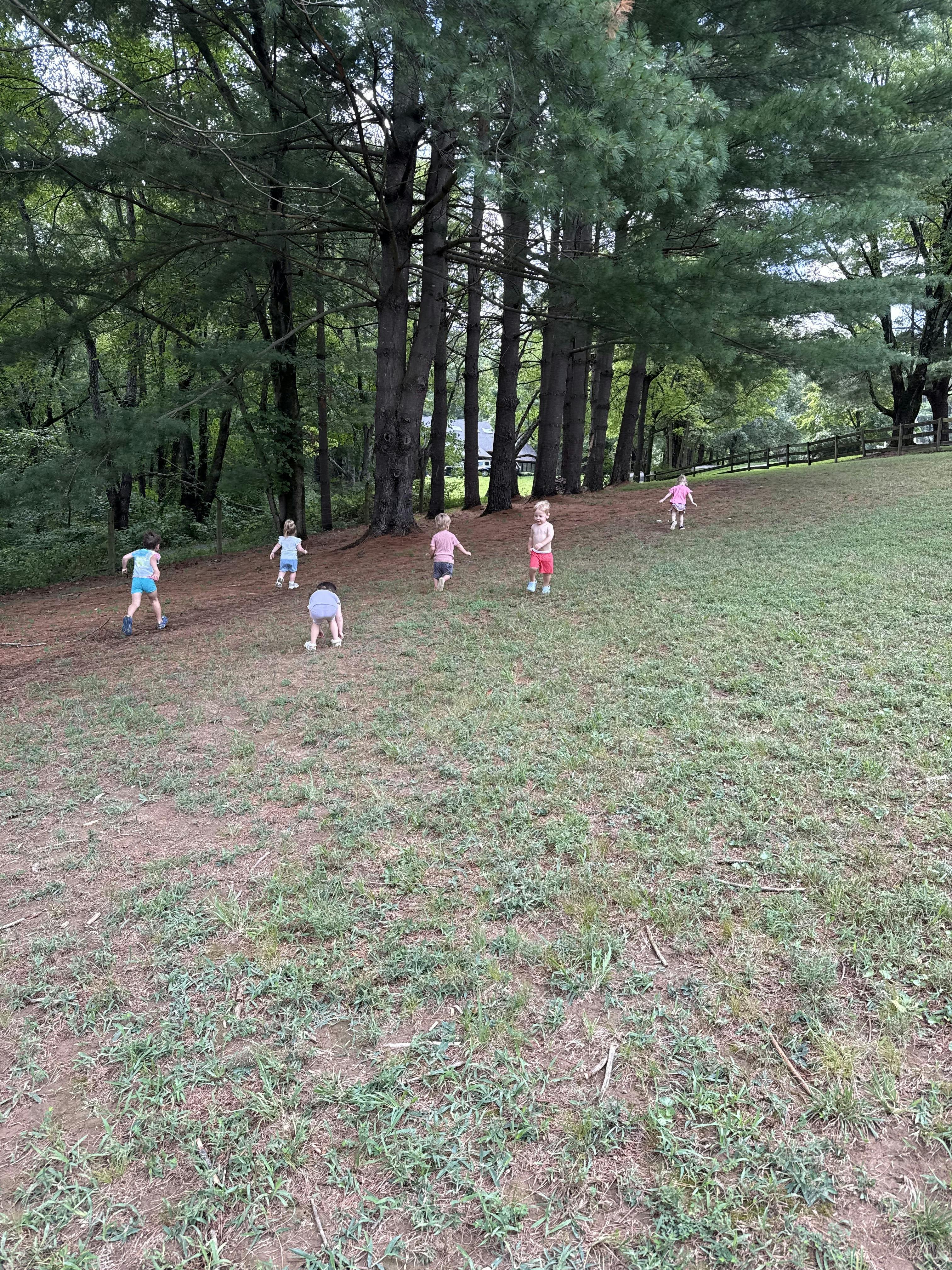 Group of children running and playing on a grassy hillside near trees